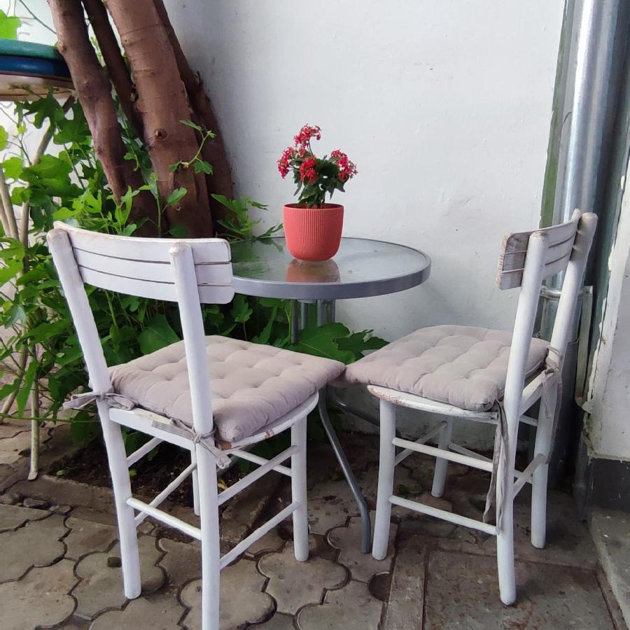 Centar Novi Sad-Apartman No 3 Экстерьер фото